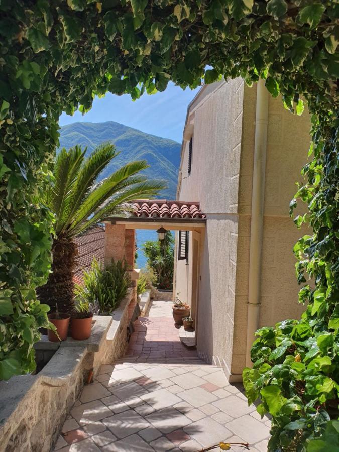 La Grande Apartments Kotor Exteriér fotografie