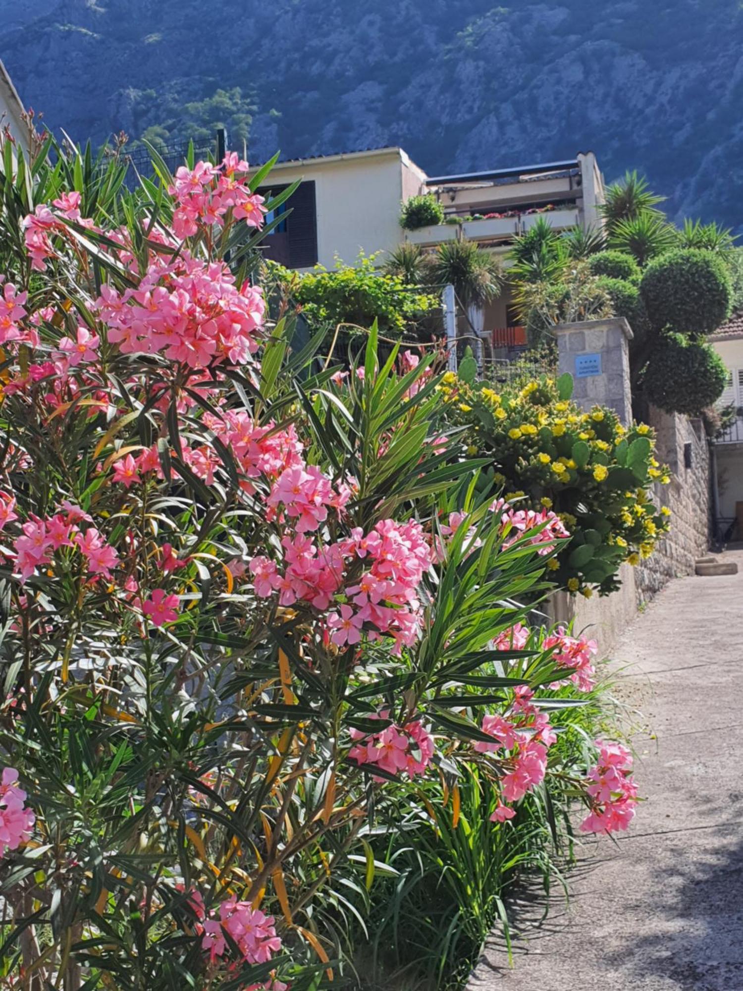 La Grande Apartments Kotor Exteriér fotografie